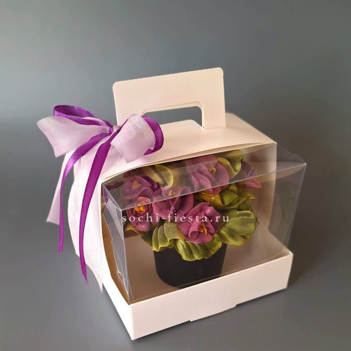  Зефир "Фиалка" в Комсомольске-на-Амуре